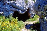 108-Pantalica,necropoli,23 aprile 2000
